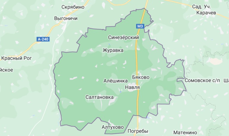 Навлинский район