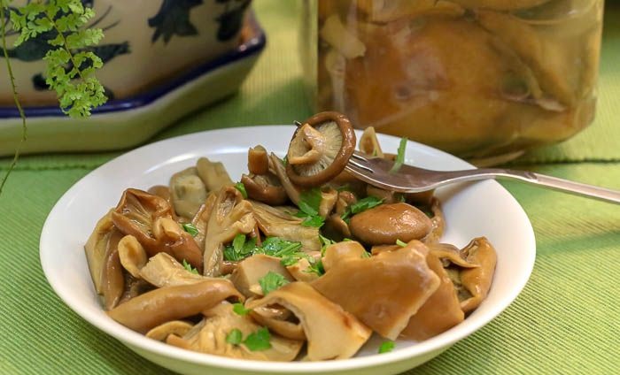 Серушки соленые горячим способом