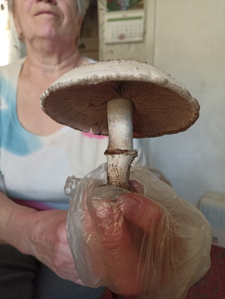 Фотография находки
