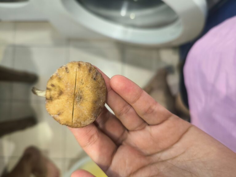 Фотография находки