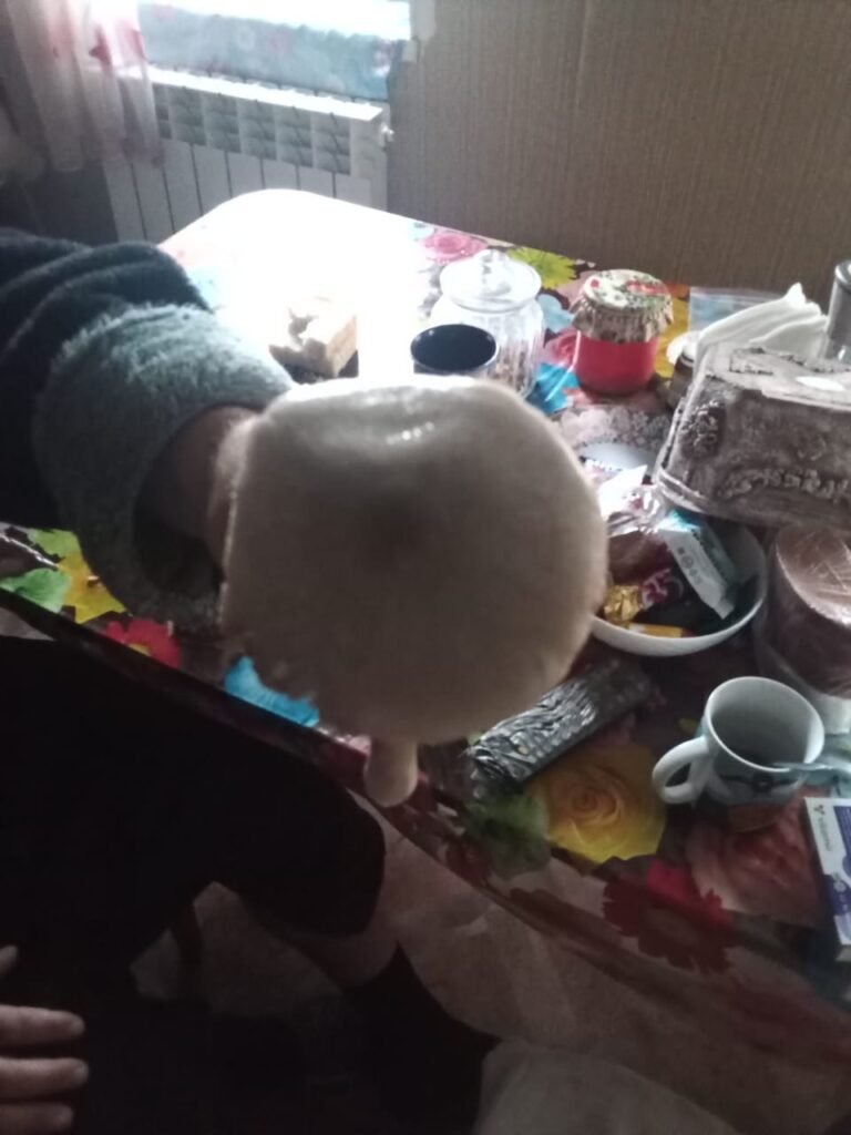Фотография находки