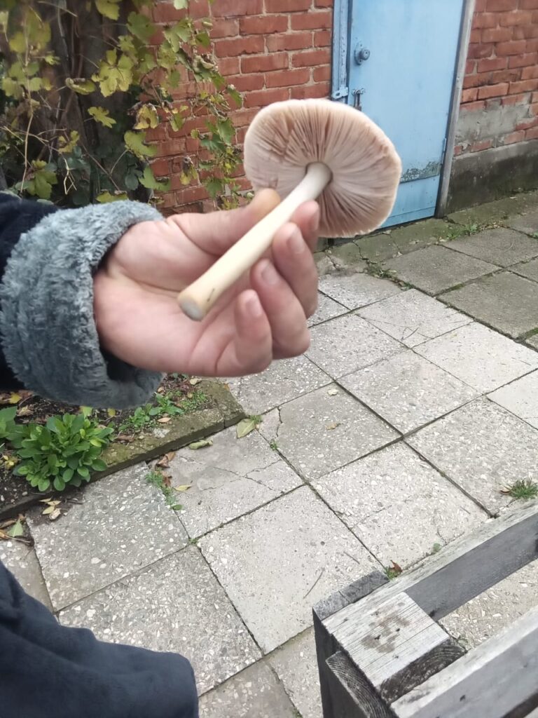 Фотография находки