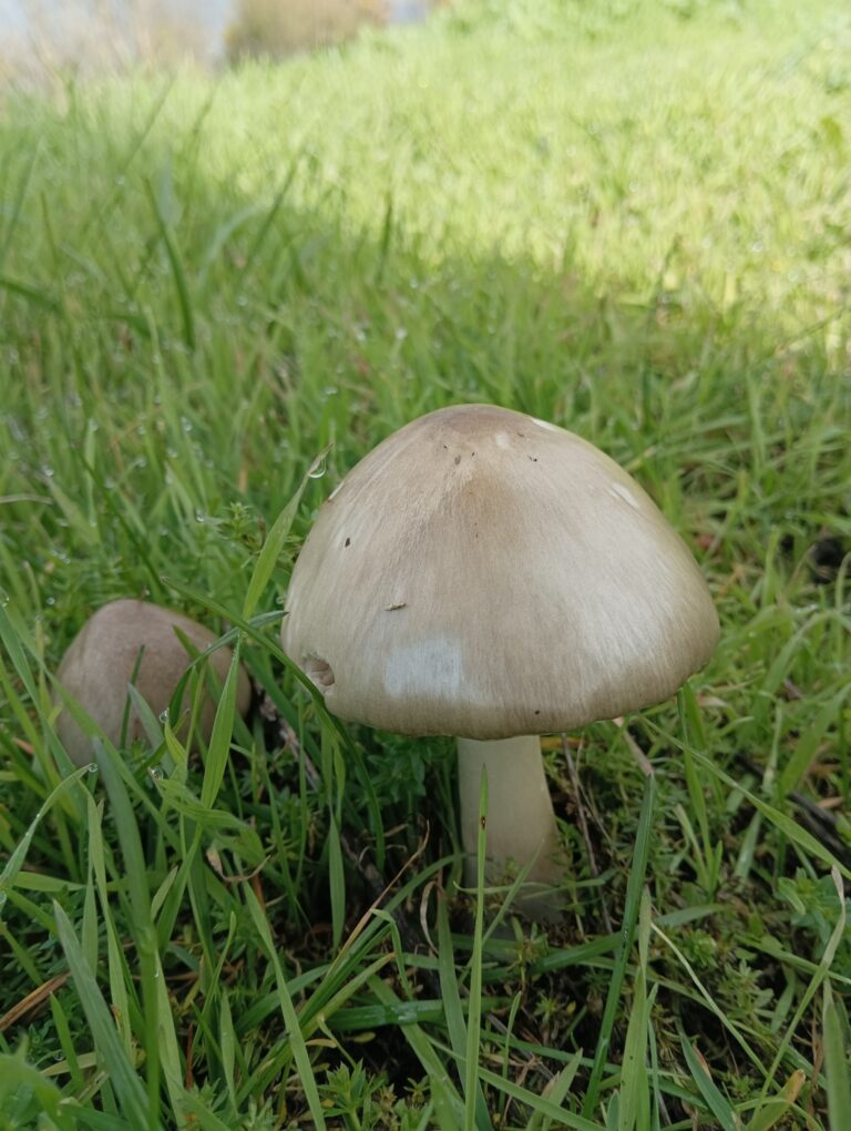 Фотография находки