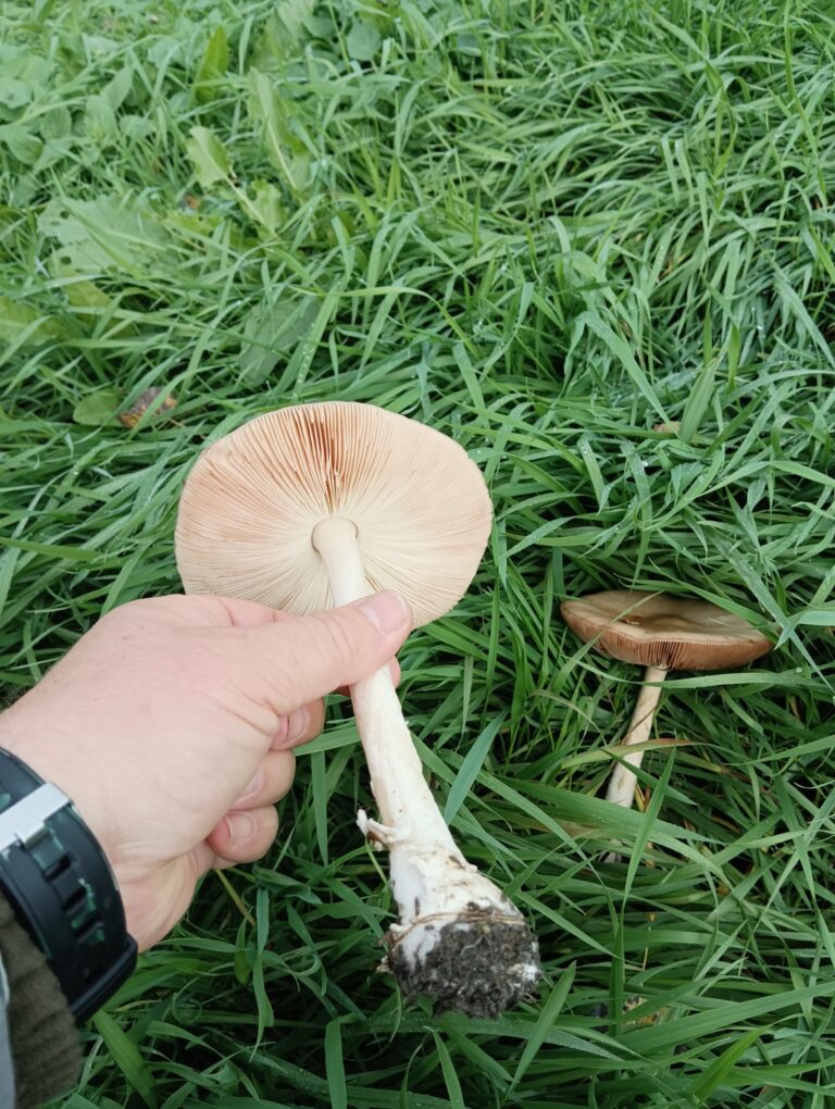 Фотография находки