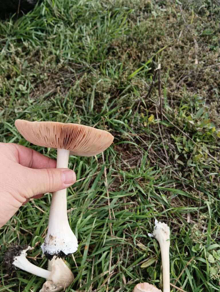 Фотография находки