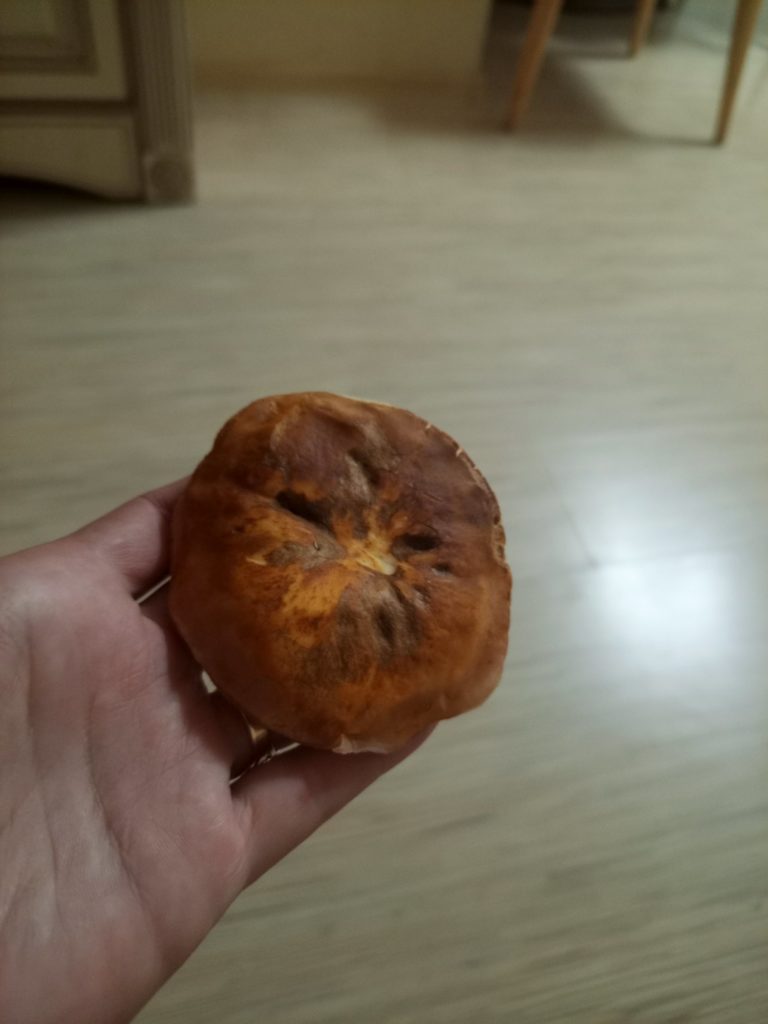 Фотография находки