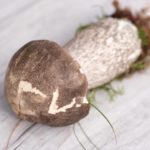 Коричневая шляпка со светлыми участками