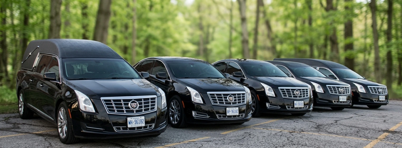 Professional Vehicle Services Professional Vehicle Services
