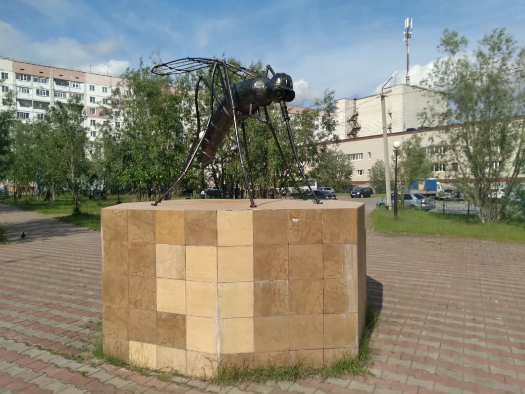 Фото города Усинск