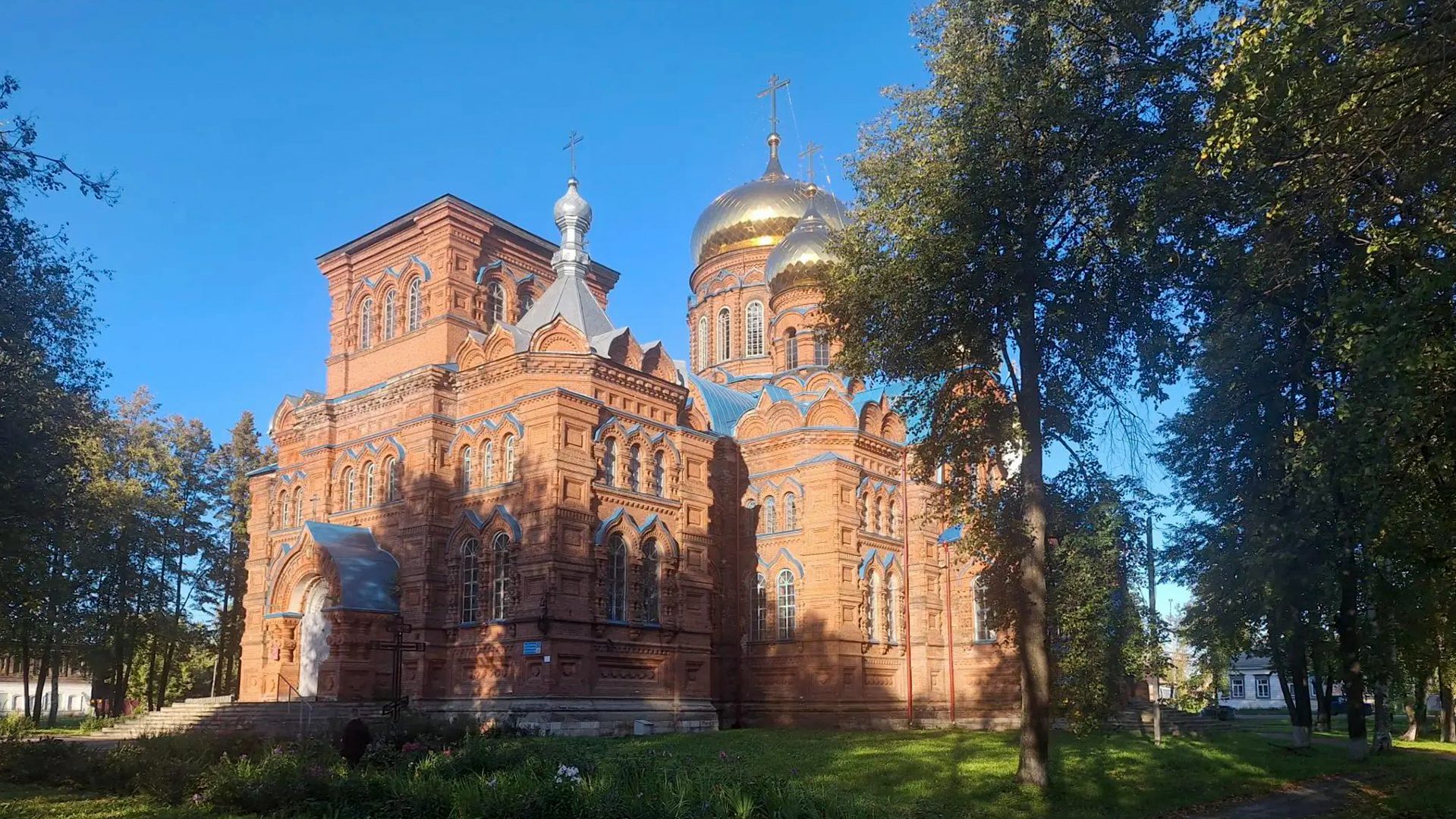 Оса