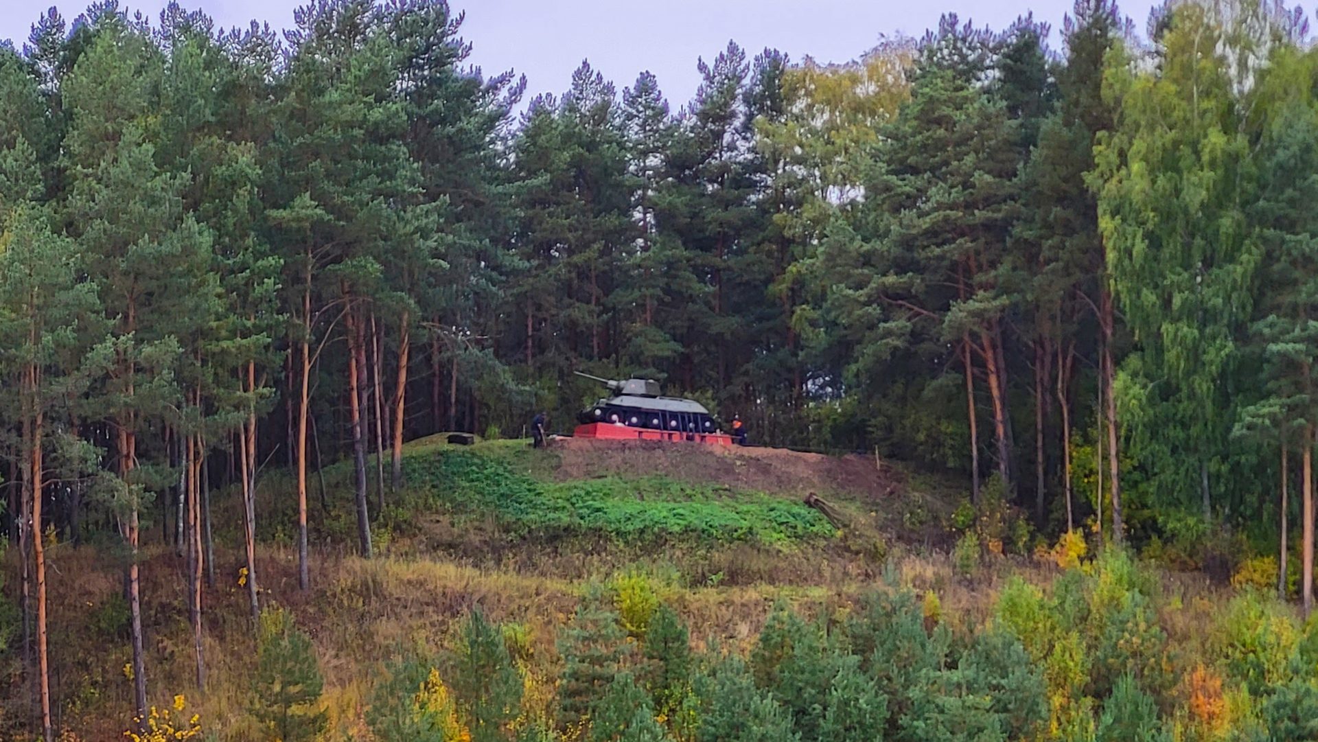 Белый