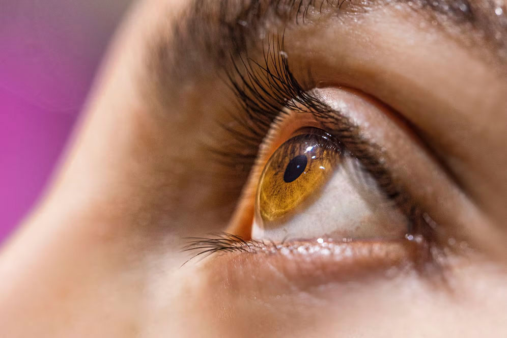 brown-hazel-eye-color_114579-11665.jpg
