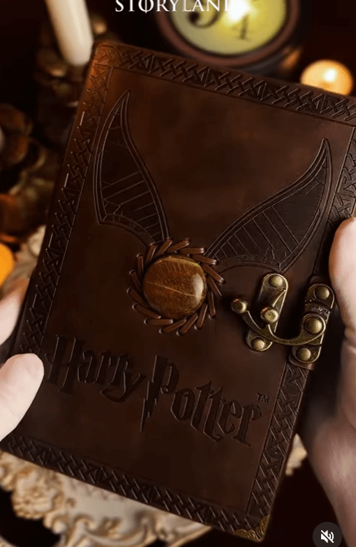 Записная книжка Гарри Поттер