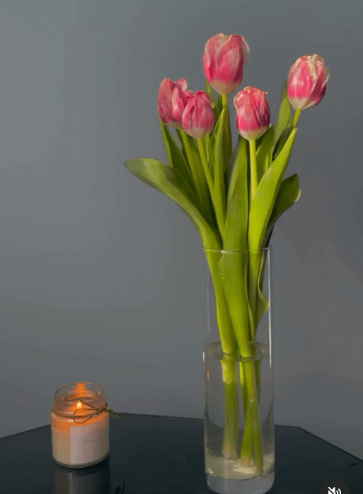 Ваза “Botanica” 265*80мм