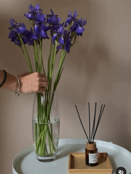 Ваза “Botanica” 260*82мм