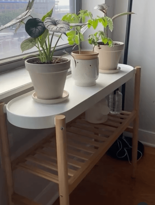 Подставка для растений Сатсумас