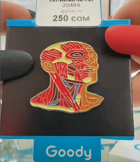 Брошь "Мышцы лица и шеи" на тему медицины