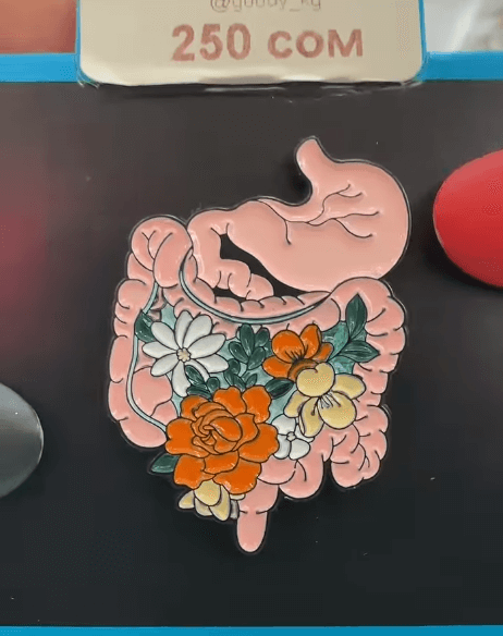 Брошь "Система пищеварения человека" на тему медицины