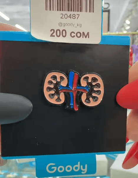 Брошь "Мочевыделительная система человека" на тему медицины, для уролога