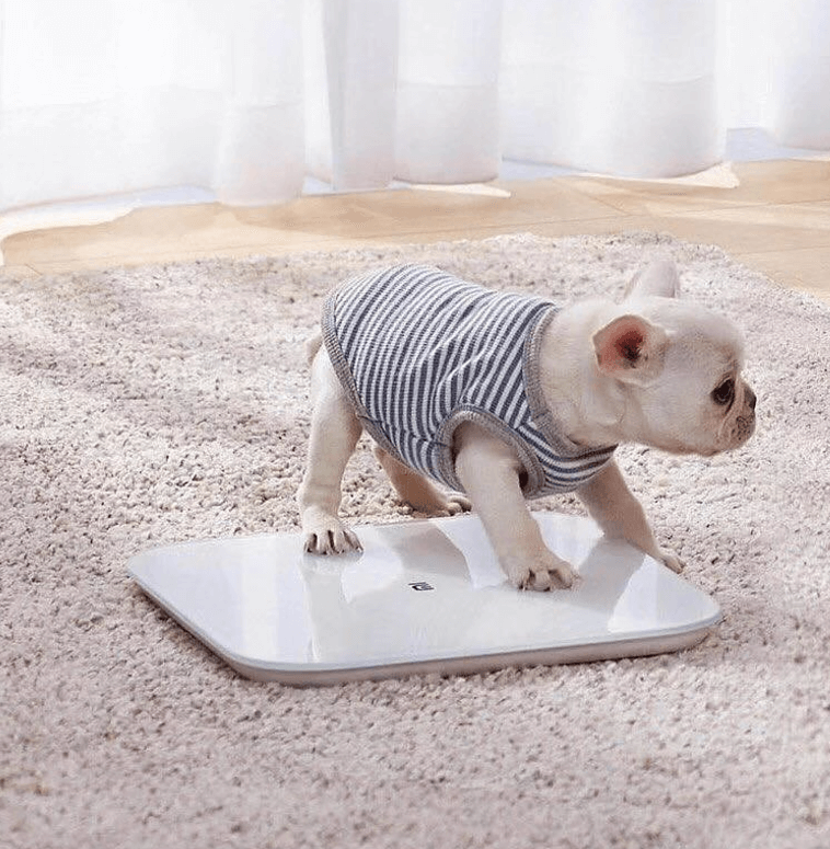 Умные весы Xiaomi Mi Smart Scale 2 (XMTZC04HM)