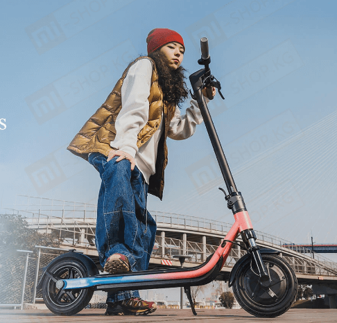 Электросамокат Ninebot KickScooter F30 Plus черный