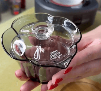 СИБОРИДАСИ (гайвань-чайник)