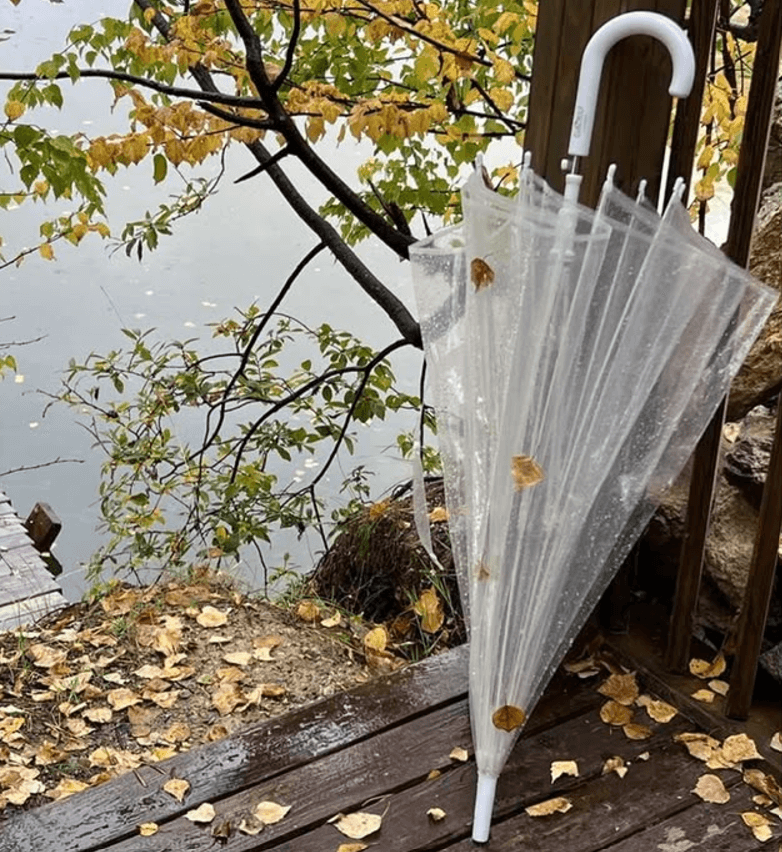 Зонт-трость прозрачный с белой окантовкой