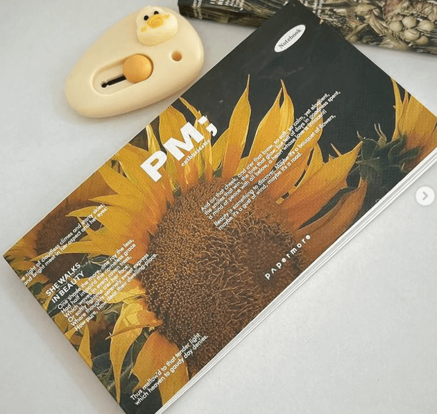 Новые мини ежедневники