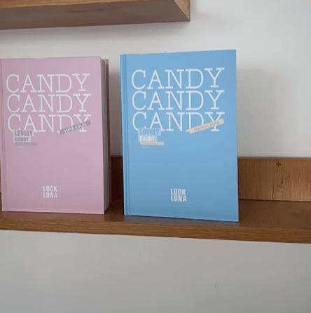 Элегантные блокноты в книжном переплете.