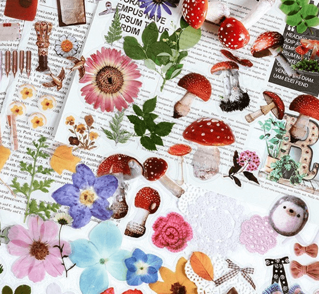 Новый вид сухоцветов 😍 30 наклеек в упаковке