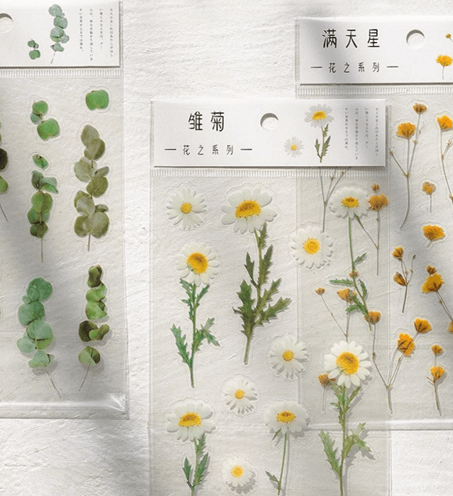 Сухоцветы / Наклейки /эстетика