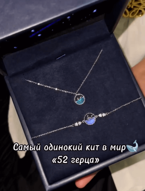 Комплект колье+браслет "Кит" серебро