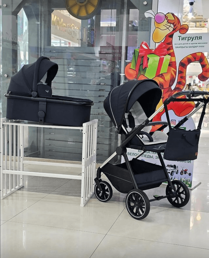 Коляска Tiny 2в1