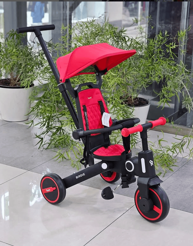 Велосипед с ручкой RANT BIRDIE детский