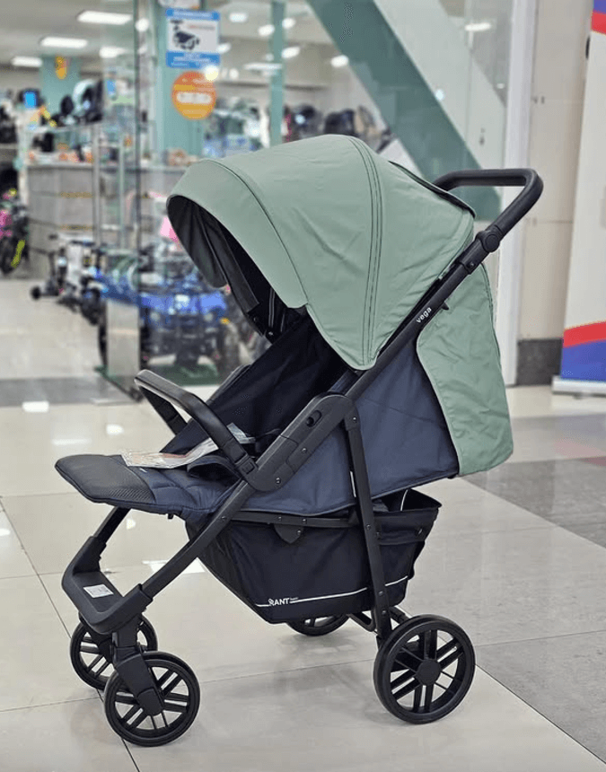 Коляска RANT Vega