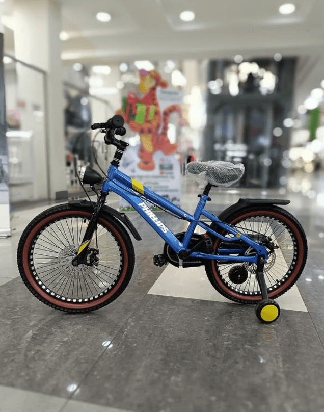 Велосипед Philips R20 детский