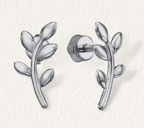 Маленькие листочки манжеты асимметричные листья