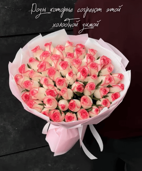 Букет из белых роз с розовой окантовкой 101 шт