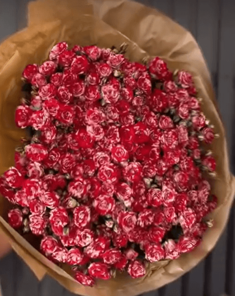 Букет из спрей розы цвет белый с красным ободком