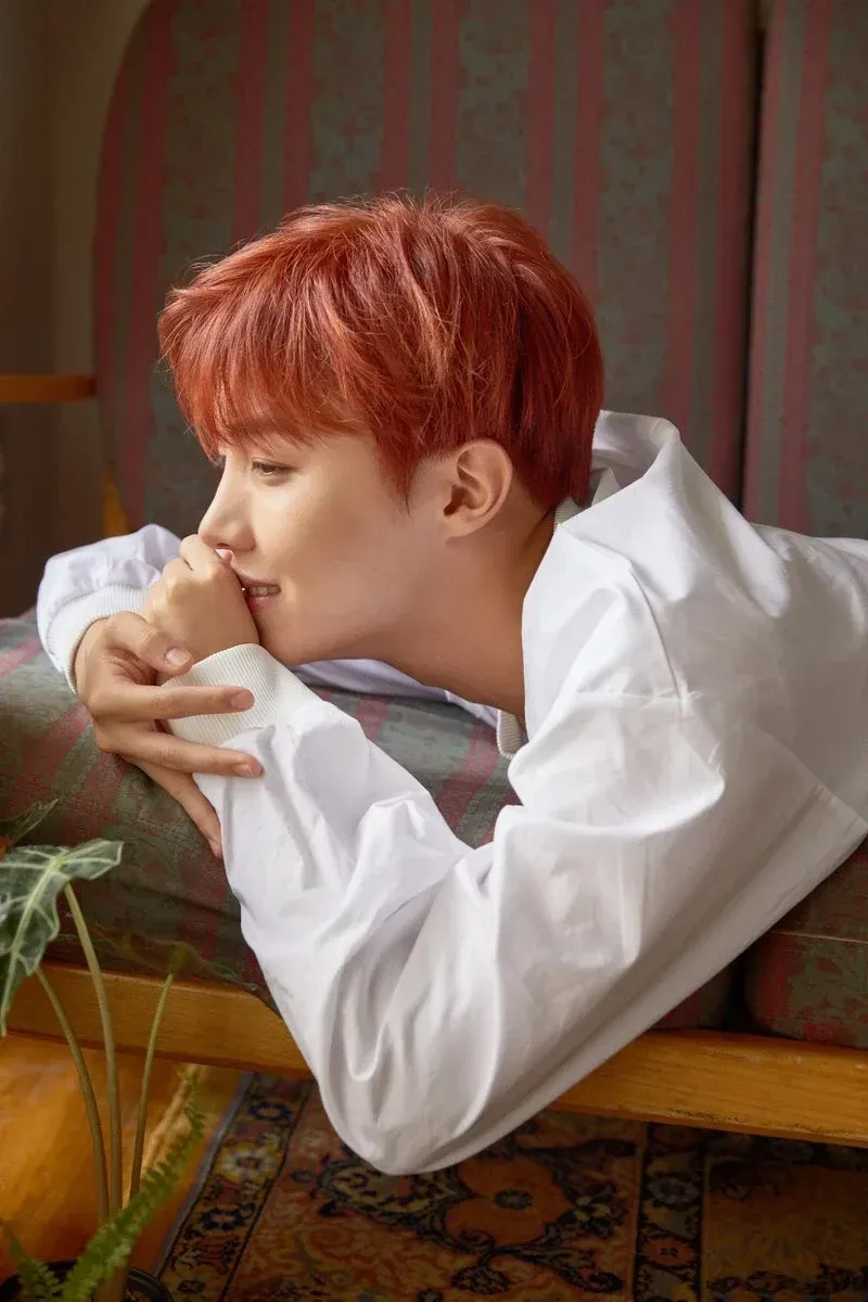J-Hope_Love_Yourself_Her_L_Version.webp