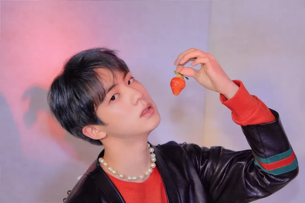 Jin_Map_of_the_Soul_Persona_Version_4.webp