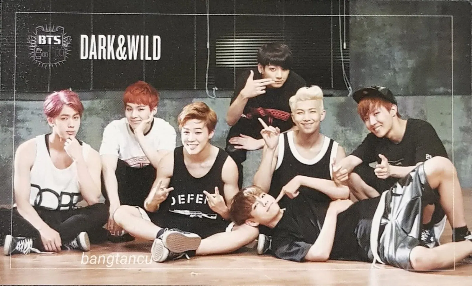 DARK & WILD