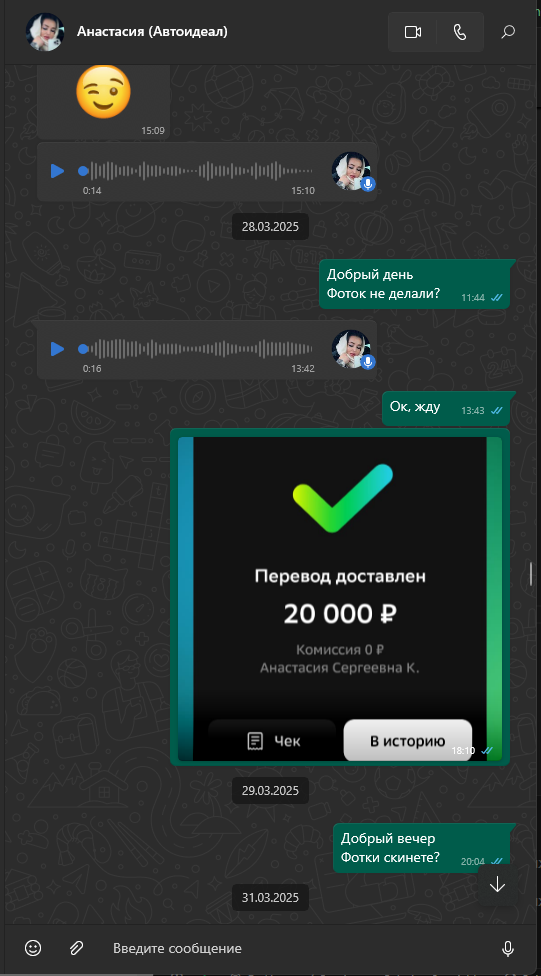 Скриншот перевода 4