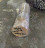 Круг бронзовый 110 мм БрАЖ в Алматы