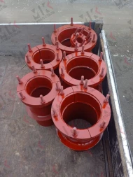 Сальник нажимной С-6 Ду50 L=300 5.905-26.08