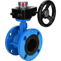 Затвор дисковый поворотный WBV1313E-2W-F-R Ду250 Ру16 фланцевый, корпус - чугун GGG40, диск - чугун GGG40, уплотнение - EPDM, с редуктором HGB RQN4-1200Z