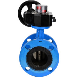Затвор дисковый поворотный WBV1313E-2W-F-R Ду250 Ру16 фланцевый, корпус - чугун GGG40, диск - чугун GGG40, уплотнение - EPDM, с редуктором HGB RQN4-1200Z