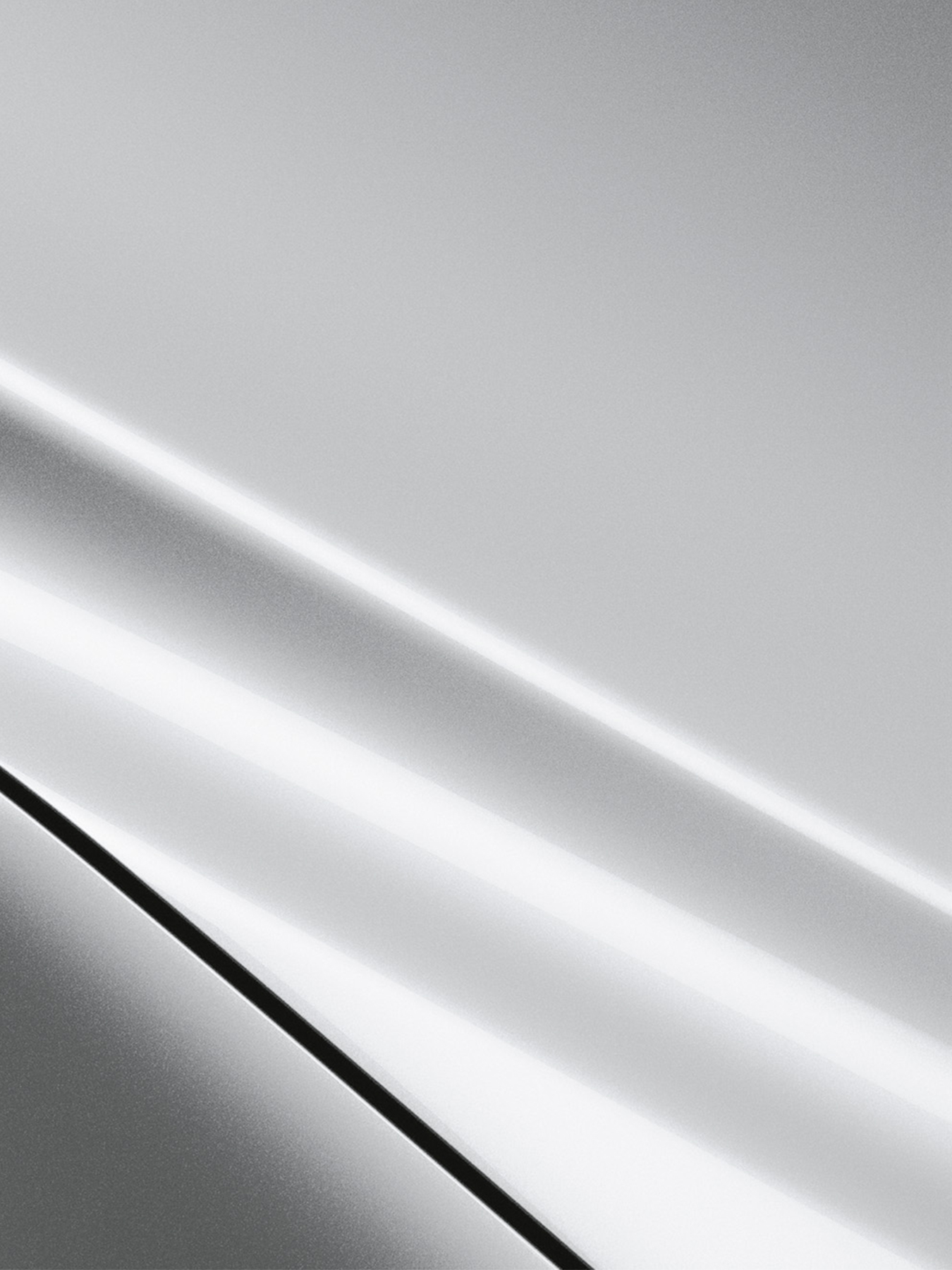 Toyota Pale Silver