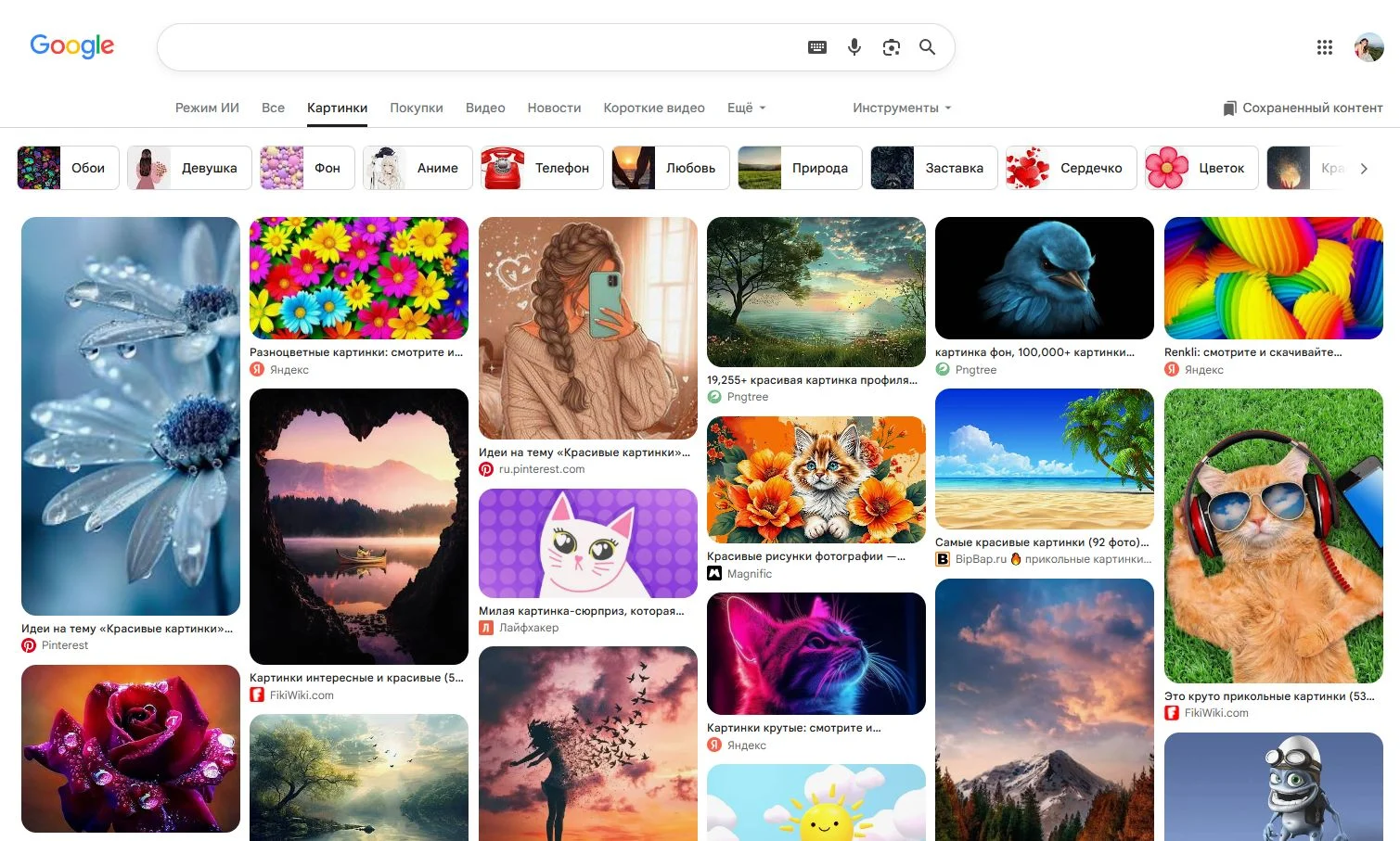 Экран интерфейса поиска по картинкам Google