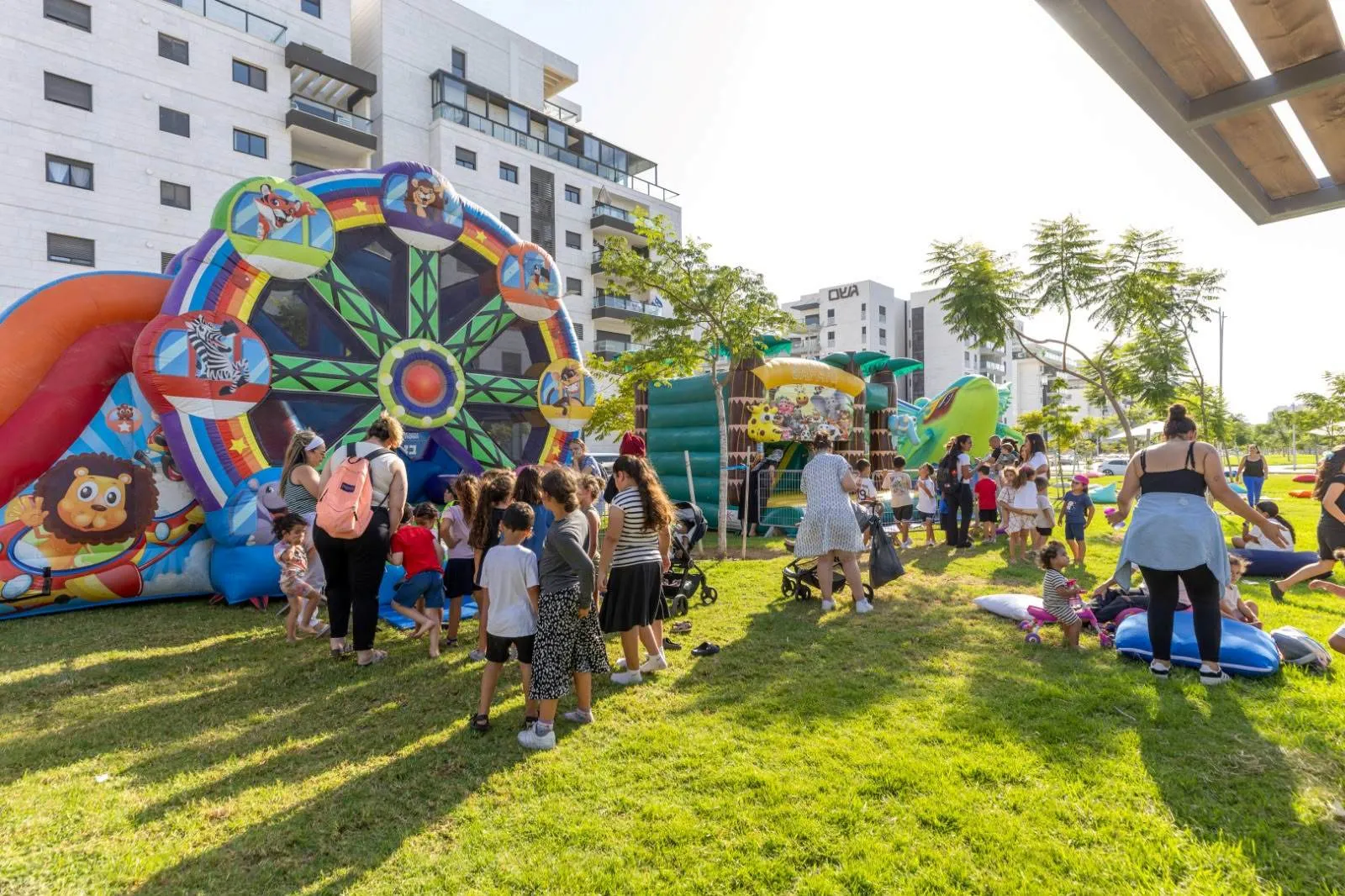 Summer buses, road safety and neighborhood renewal in Ashkelon